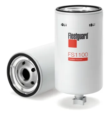 FS1100
