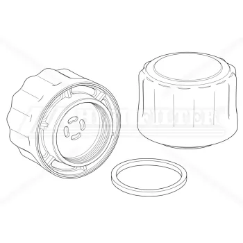 FS739