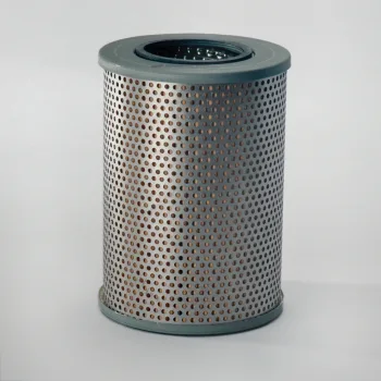 P173485