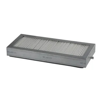 SKL46100