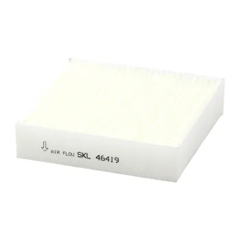 SKL46419
